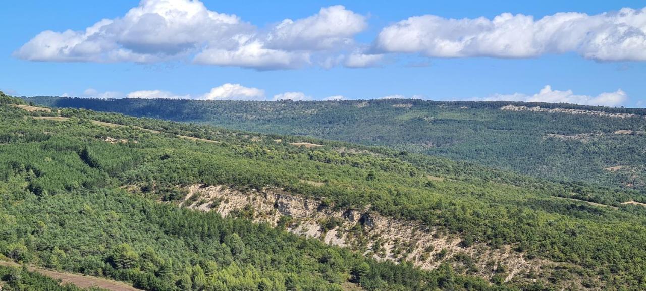 Hebergements Insolites - Detente En Luberon Viens Exterior photo