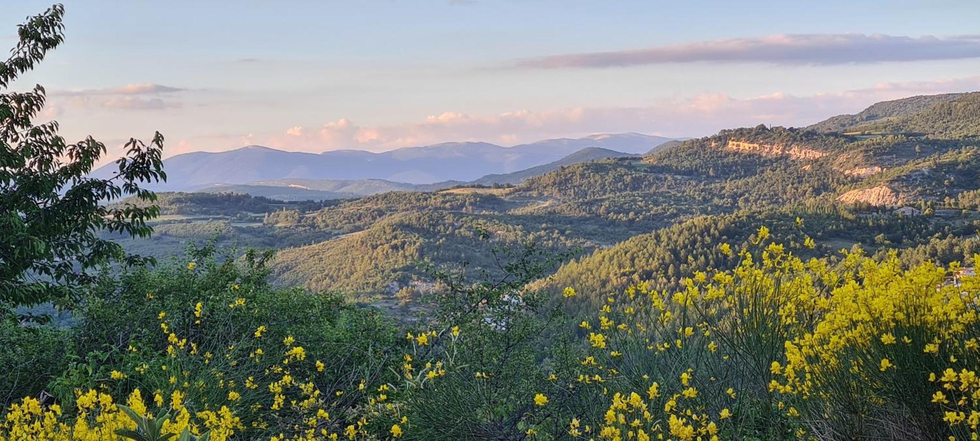Hebergements Insolites - Detente En Luberon Viens Exterior photo